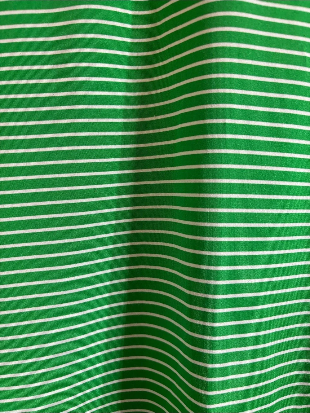 Ralph Lauren Green and White Striped Polo